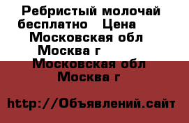 Ребристый молочай бесплатно › Цена ­ 0 - Московская обл., Москва г.  »    . Московская обл.,Москва г.
